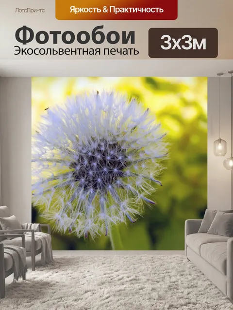 Фотообои Семена одуванчика