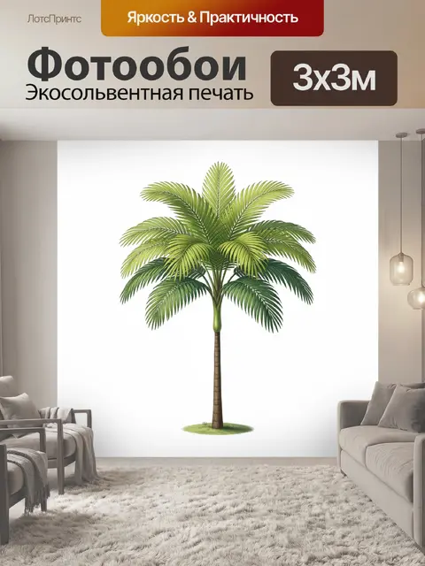Фотообои Тропическая пальма на белом фоне