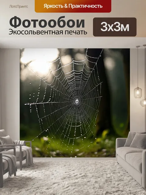 Фотообои паутина, сверкающая на утреннем солнце, каждое капелька росы выглядит как драгоценный камень, фон…