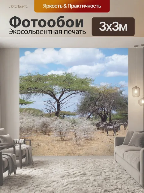 Фотообои Зебра
