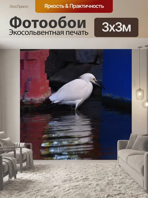Фотообои Снежная белая цапля