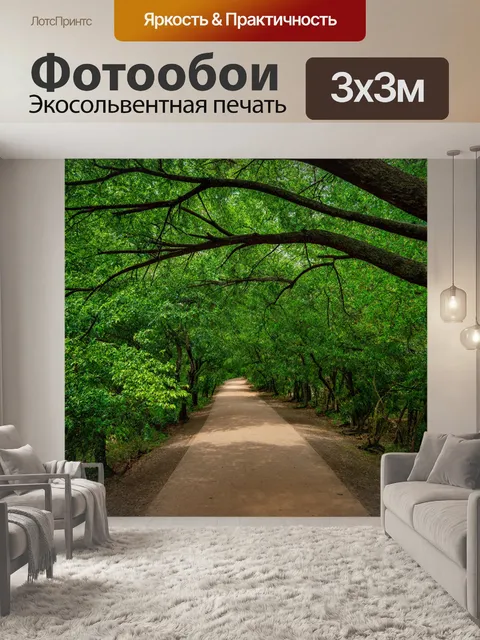 Фотообои с ветками деревьев, образующими арки на путях