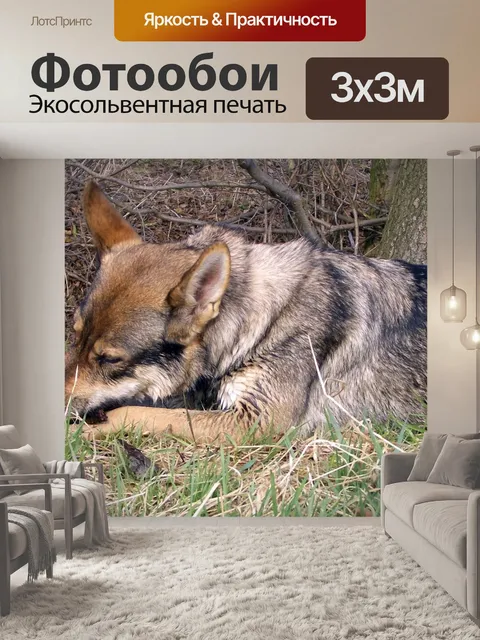 Фотообои Чехословацкий