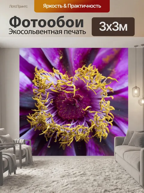 Фотообои Пион