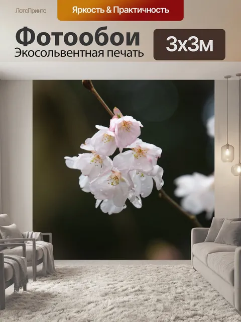 Фотообои Розовый