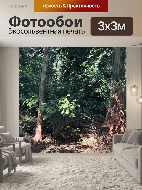 Фотообои Деревья и листья 33