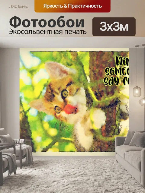 Фотообои котенок плакат