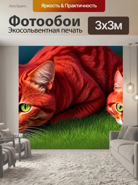 Фотообои с рыжим котом