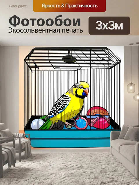 Фотообои создайте изображение волнистого попугайчика, играющего с игрушками в своем клетке