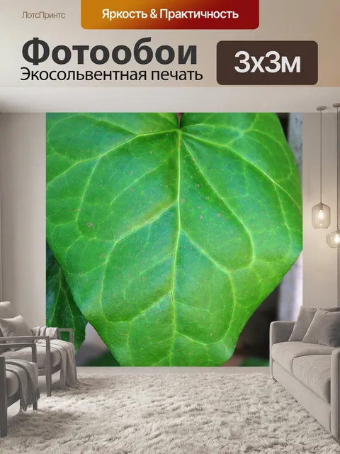 Фотообои прожилках листьев