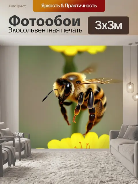 Фотообои на желтом цветке