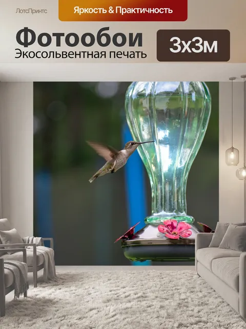 Фотообои Птица
