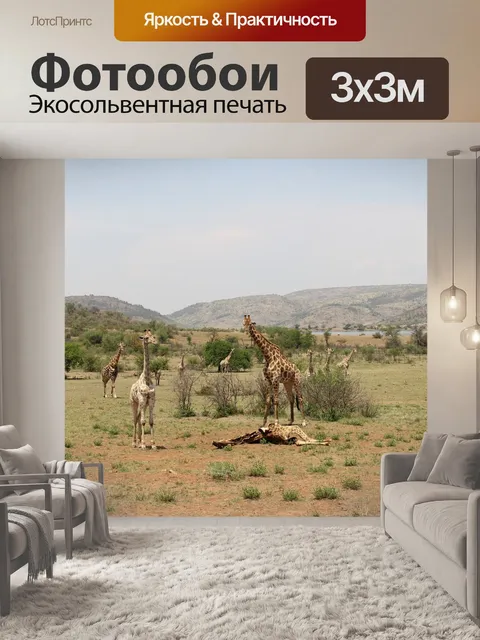 Фотообои Жирафы