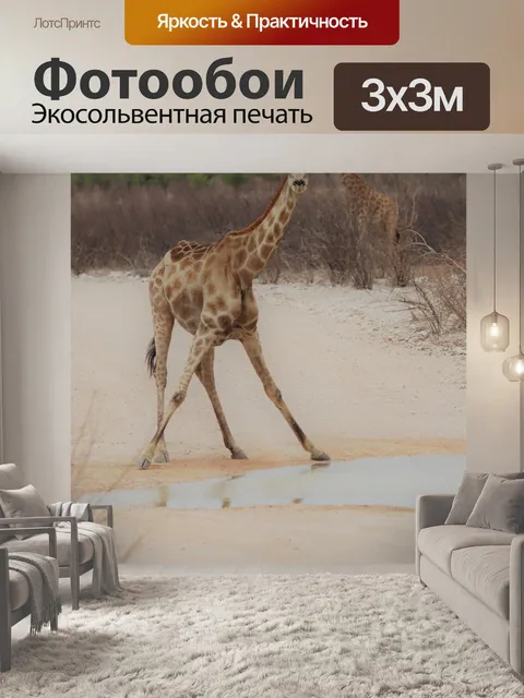Фотообои Жирафа