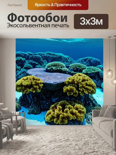 Фотообои камень: подводный мир океана с морской растительностью