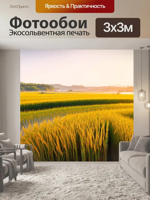 Фотообои япония представляют поля риса, заливаемые солнечным светом, где каждая зерно отливает золотом