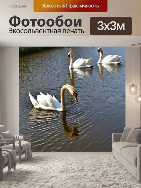 Фотообои утро: спокойная обстановка у реки с грациозными лебедями на утреннем свете, идеальный стиль романтики