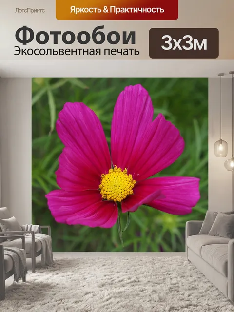 Фотообои Вселенная