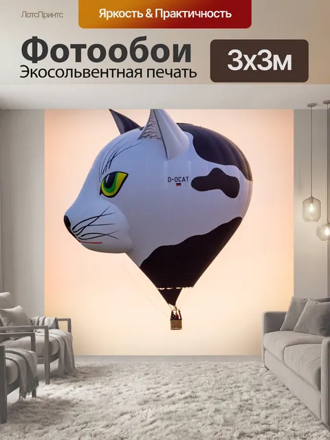 Фотообои Воздушный шар