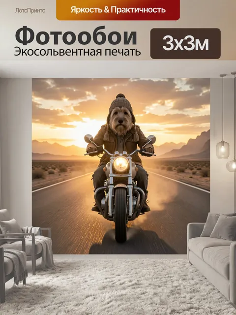 Фотообои Пёс-байкер на закатной трассе