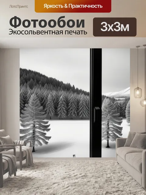 Фотообои зимний пейзаж с окна чернобелый
