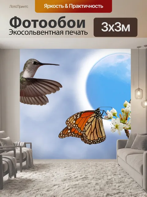 Фотообои Колибри