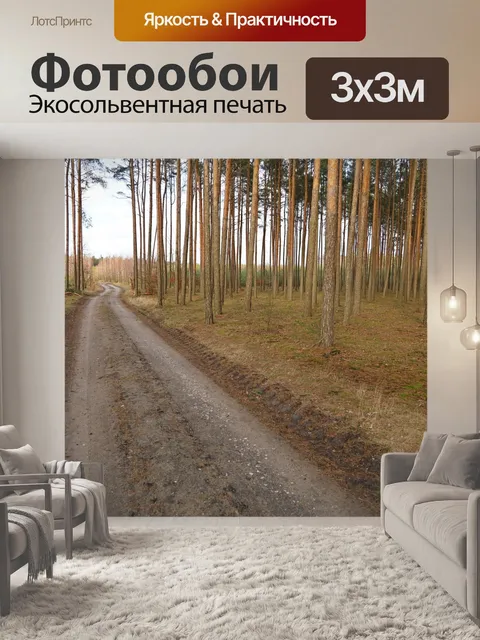 Фотообои Лес
