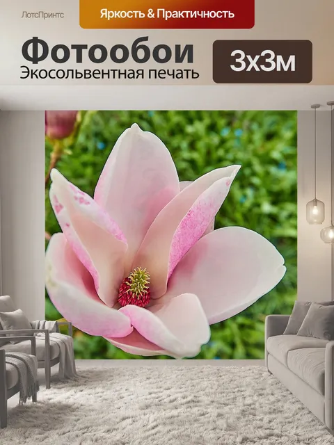 Фотообои Тюльпан магнолия