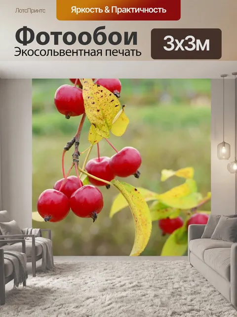 Фотообои Детское яблоко