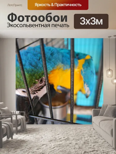 Фотообои Попугай