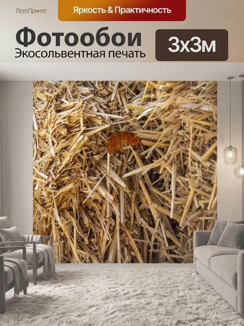 Фотообои Бабочка на сене
