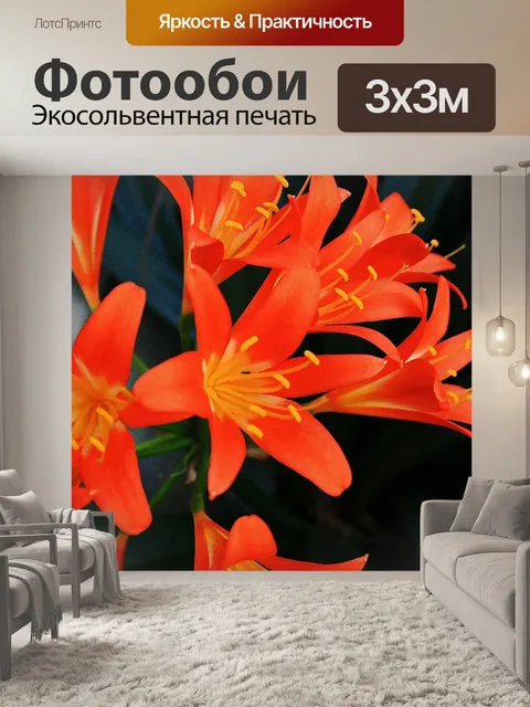 Фотообои кливия киноварных лилии