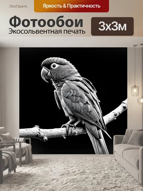 Фотообои животные в стиле черно-белый: попугай на ветке с ярким контрастом между его перьями и темным фоном