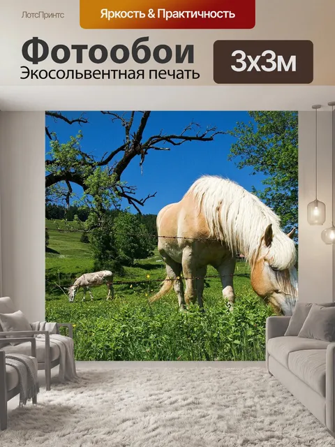 Фотообои Выпас