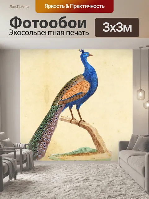 Фотообои павлин