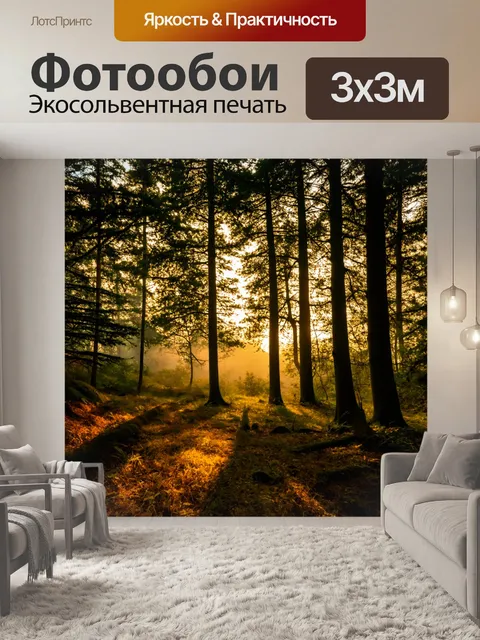 Фотообои лес с вечерним светом и мягкими тенями от деревьев