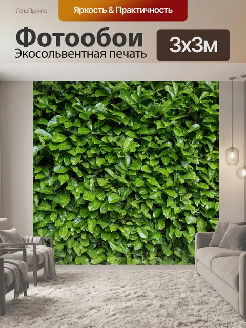 Фотообои Природные Забор