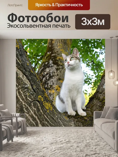 Фотообои Кошка