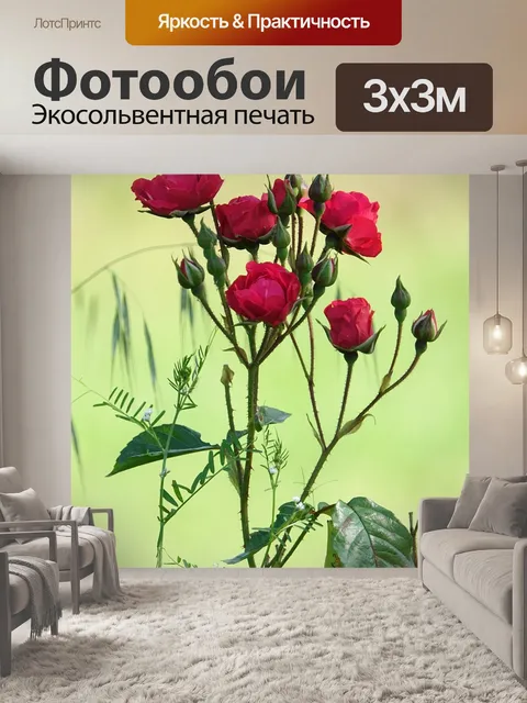 Фотообои Красные розы