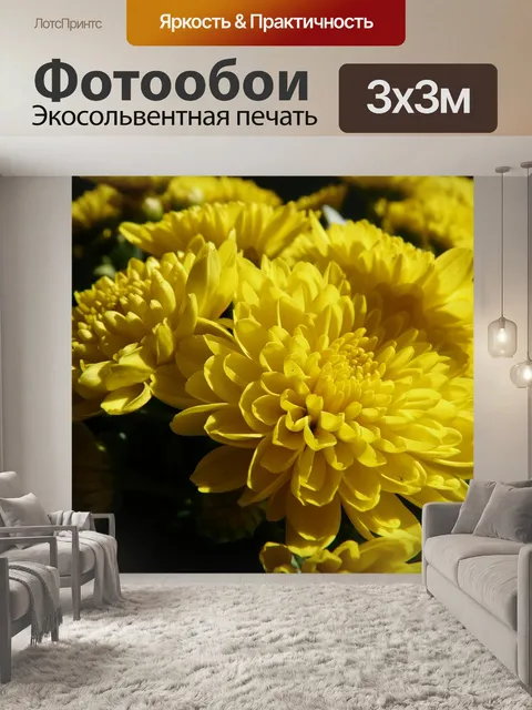 Фотообои Садовые хризантемы