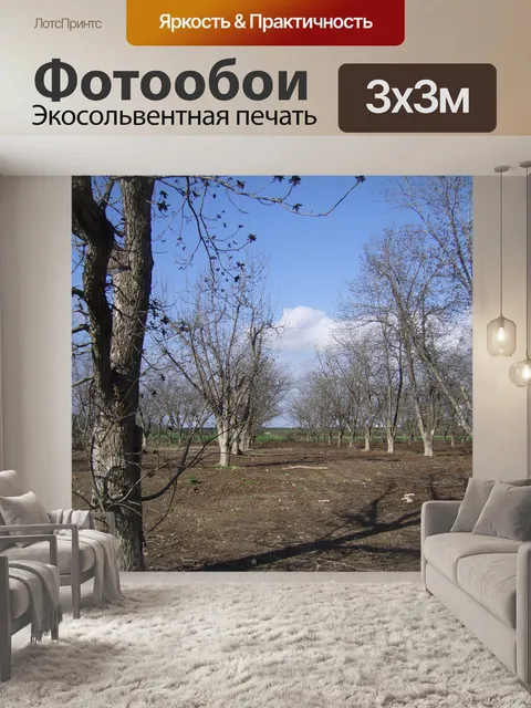 Фотообои Зимний сад