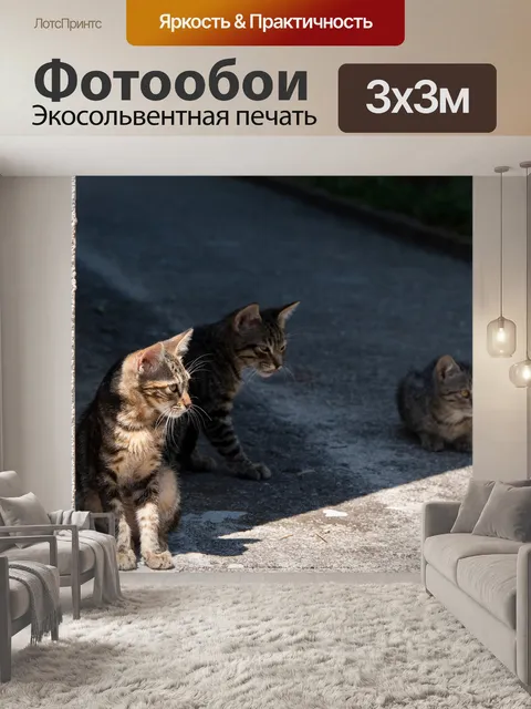 Фотообои Кошка