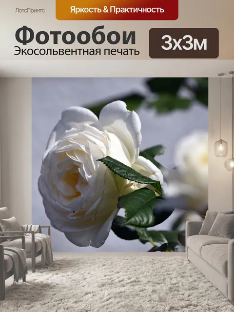 Фотообои Роуз