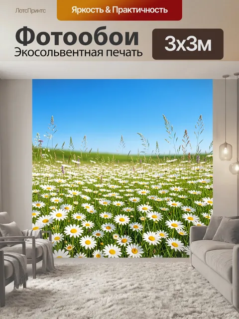 Фотообои Ромашковое поле под голубым небом