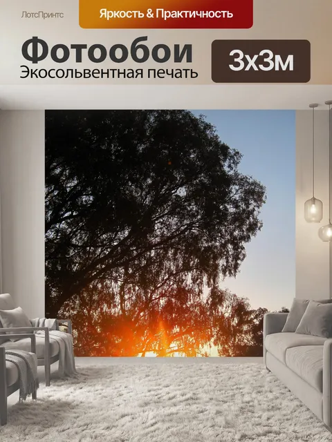 Фотообои заходящее солнце за большим деревом