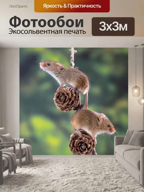 Фотообои Урожай мышь