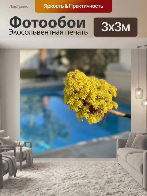 Фотообои Цветок