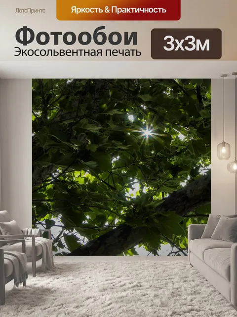 Фотообои Солнечный свет сквозь деревья