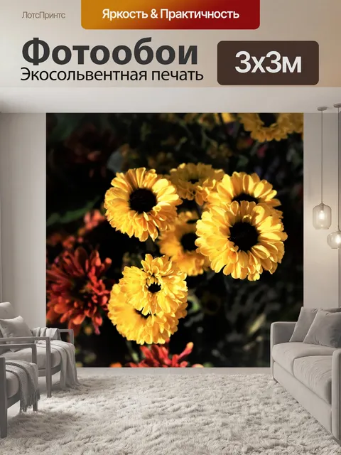 Фотообои Красные и желтые хризантемы