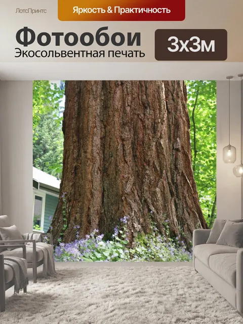 Фотообои старое дерево